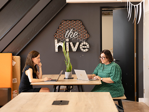 The Hive The Hive
