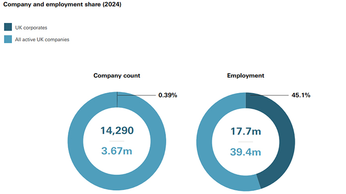 Company and employment graph