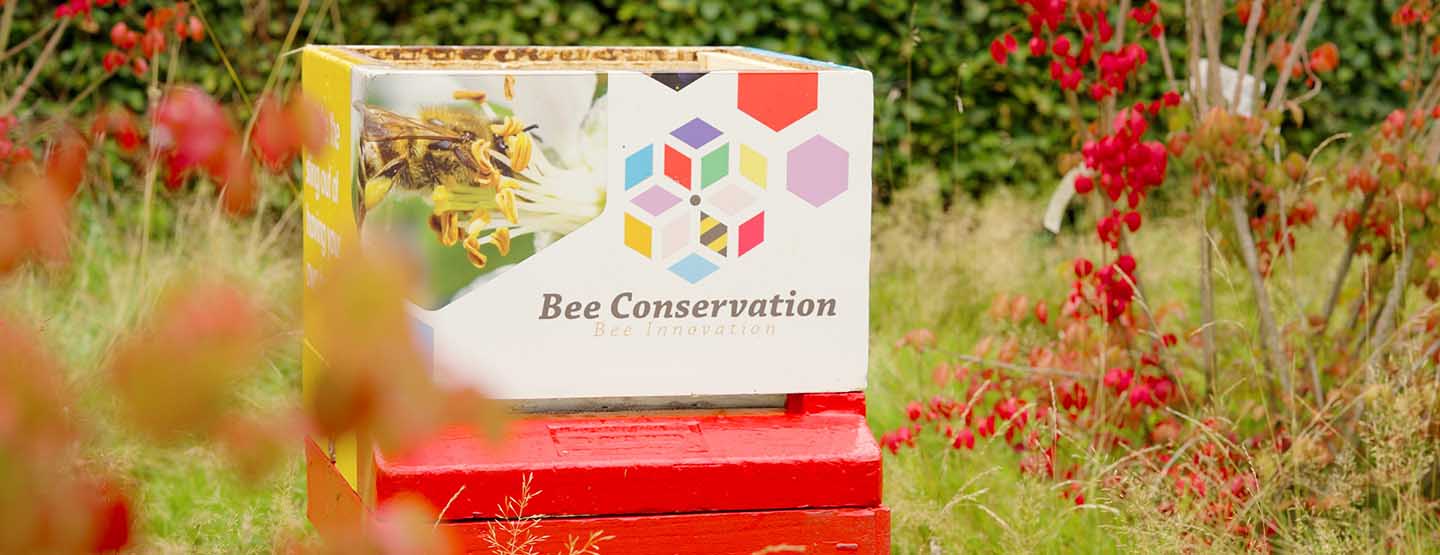 Bee Innovation branded bee hive Bee Innovation branded bee hive