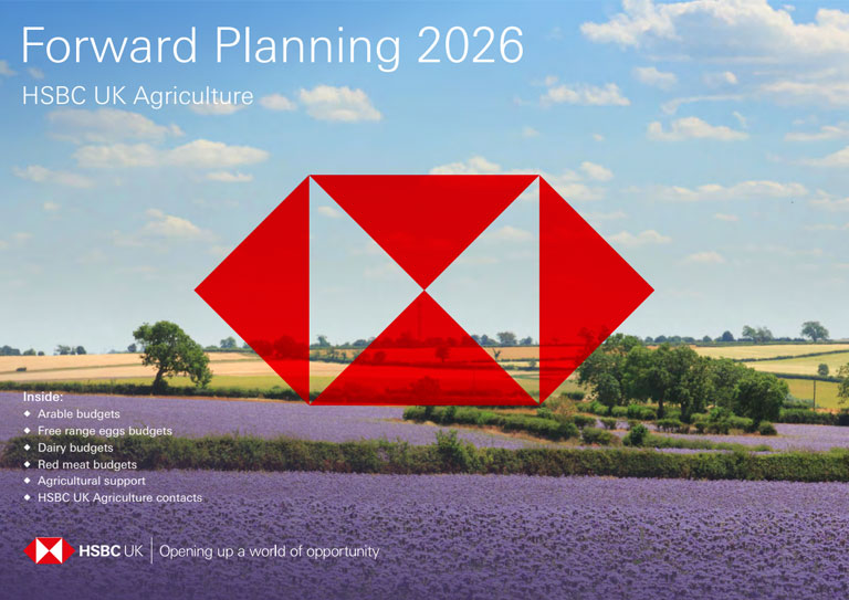 Forward Planning 2026 Forward Planning 2026