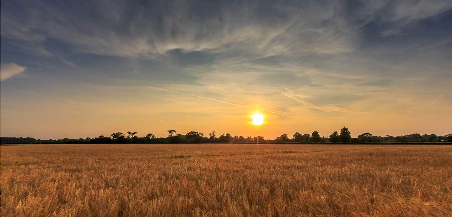 HSBC Sustainable Farming Pathway banner